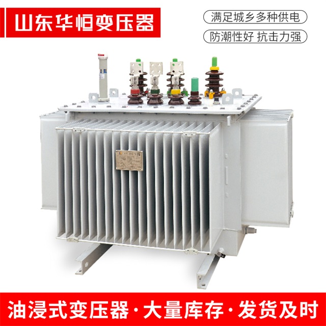 S13-10000/35大新大新大新电力变压器