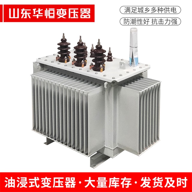S13-10000/35大新大新大新油浸式变压器厂家